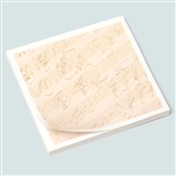 Mozart Manuscript Sticky Notes