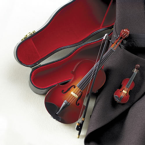Miniature Instrument with Case
