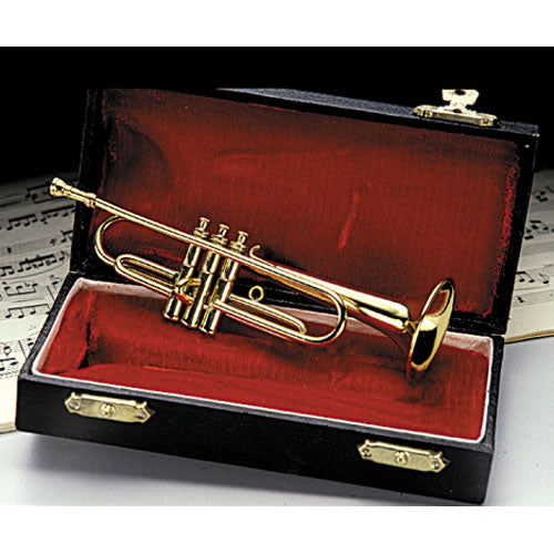 Miniature Instrument with Case
