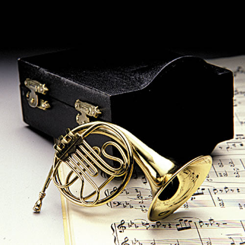 Miniature Instrument with Case