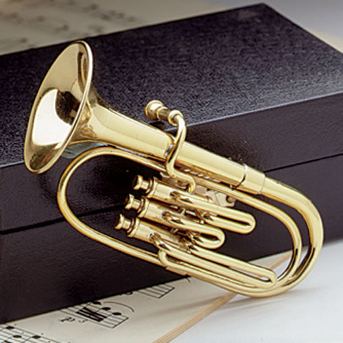 Miniature Instrument with Case