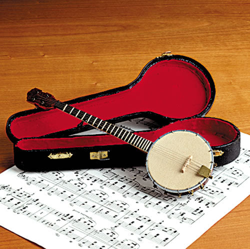 Miniature Instrument with Case