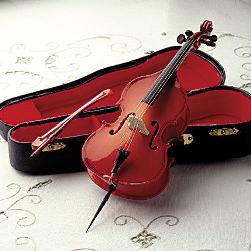 Miniature Instrument with Case