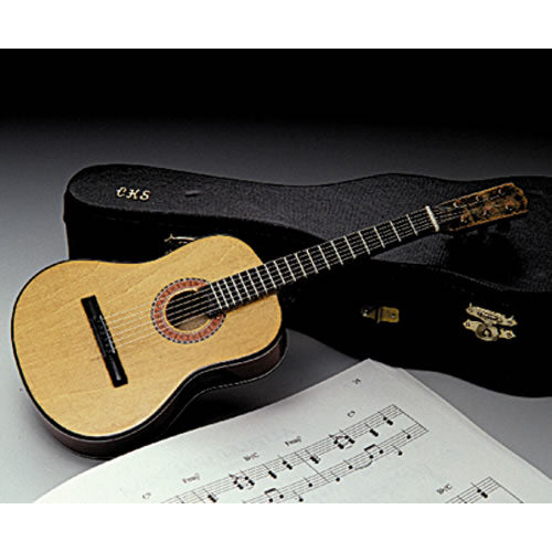 Miniature Instrument with Case