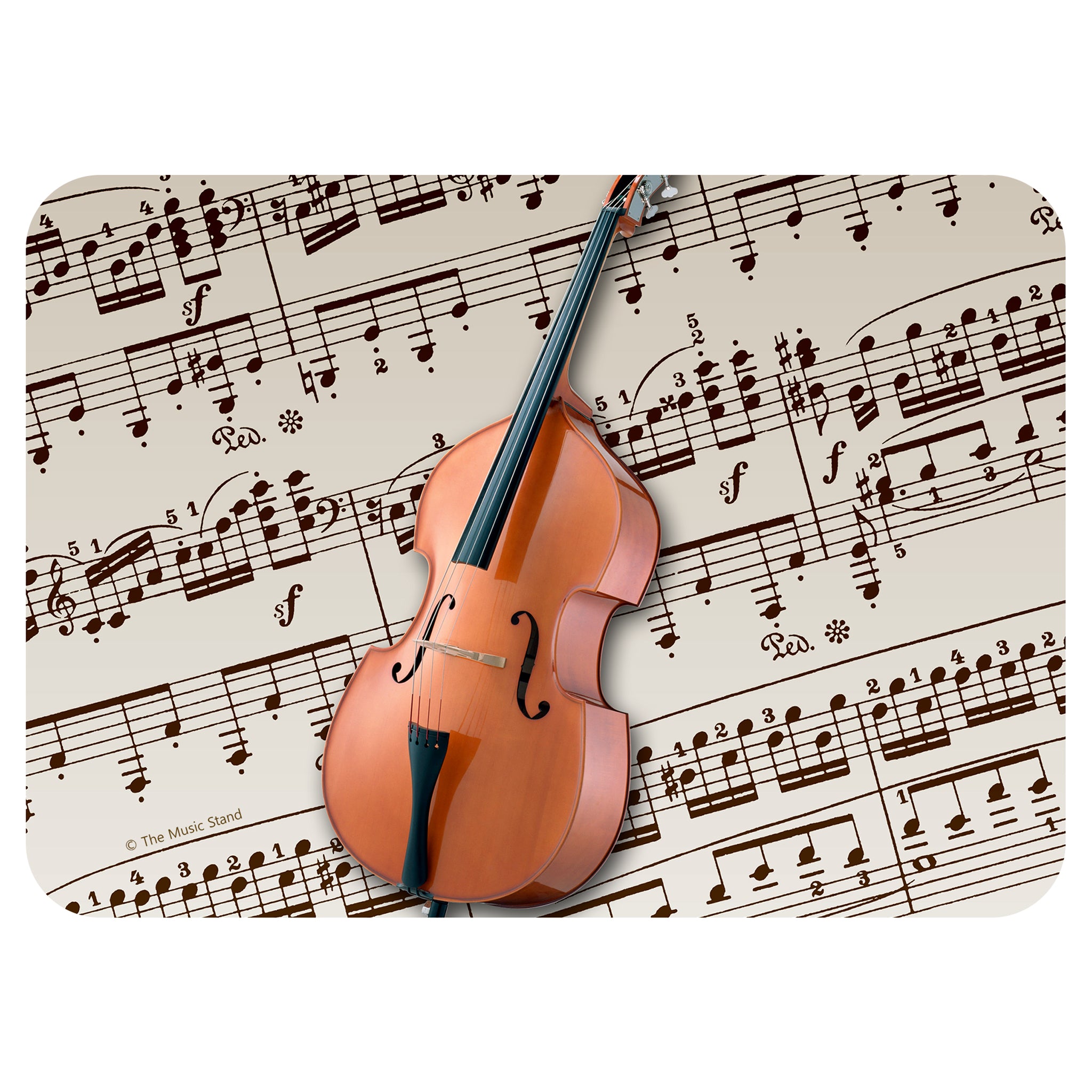 Medium 6" x 4 1/2" Instrument Gift Tin