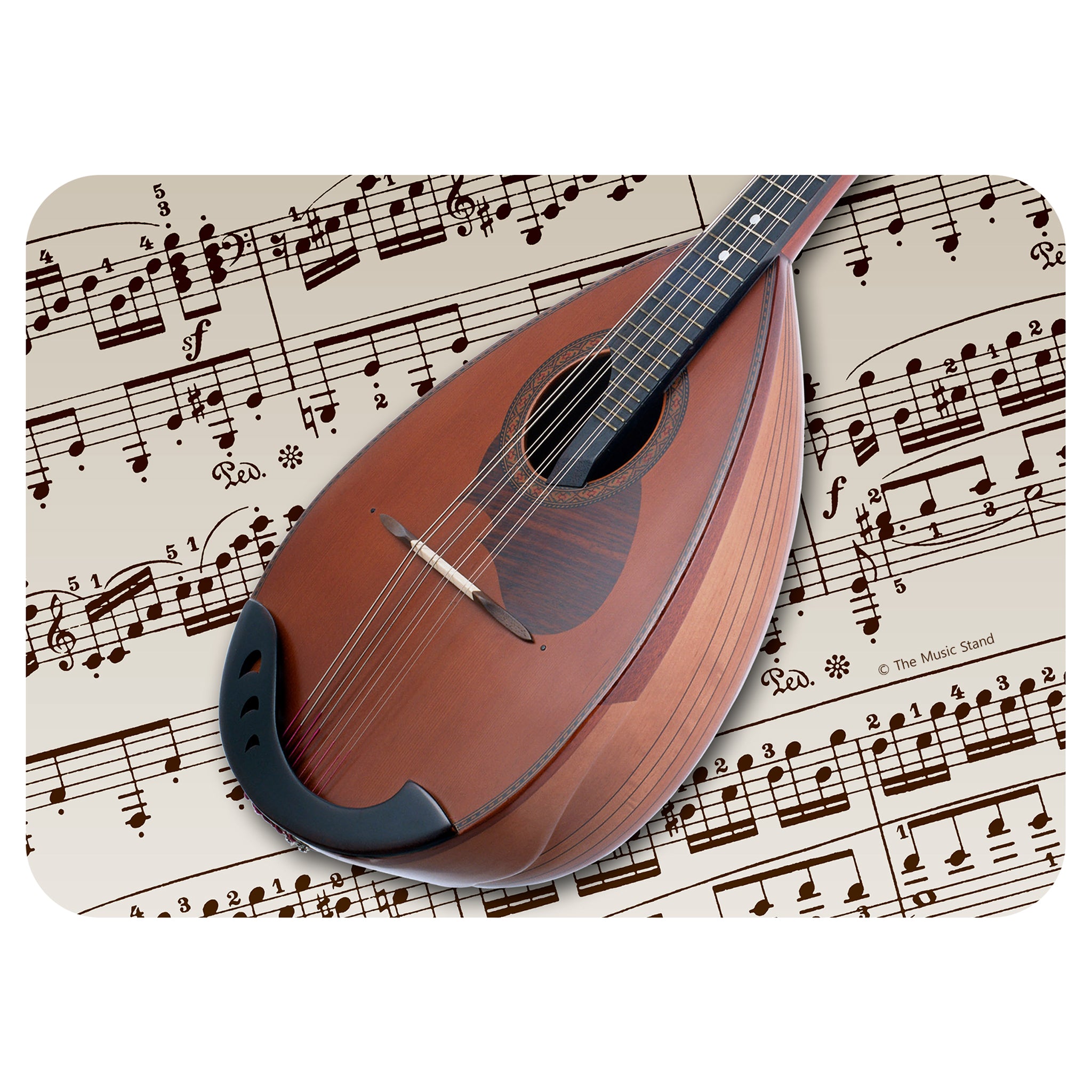Medium 6" x 4 1/2" Instrument Gift Tin