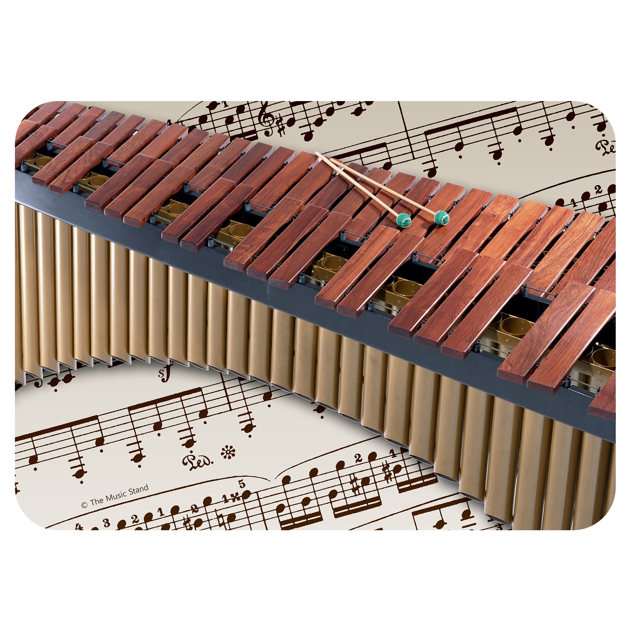Medium 6" x 4 1/2" Instrument Gift Tin