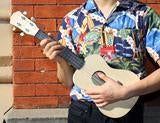 Make Your Own Ukulele