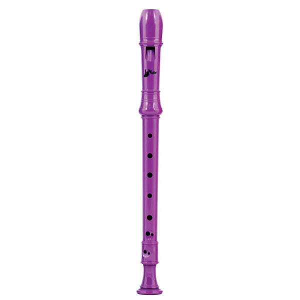 Colorful Music Recorders