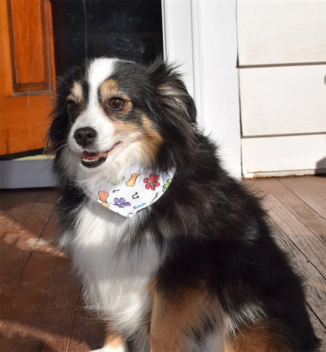 Music Themed Dog Bandana