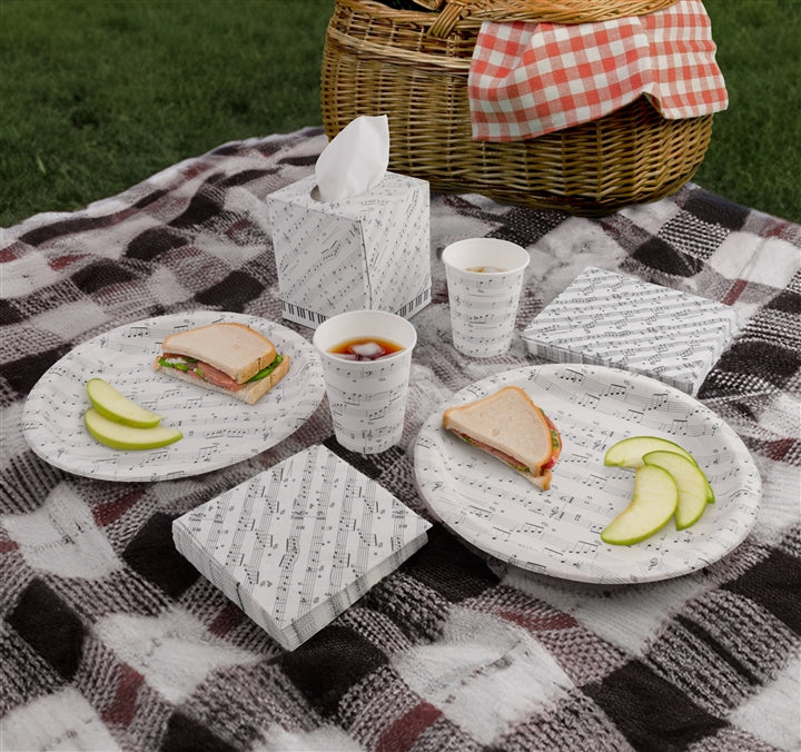 Music Picnic and Party Set
