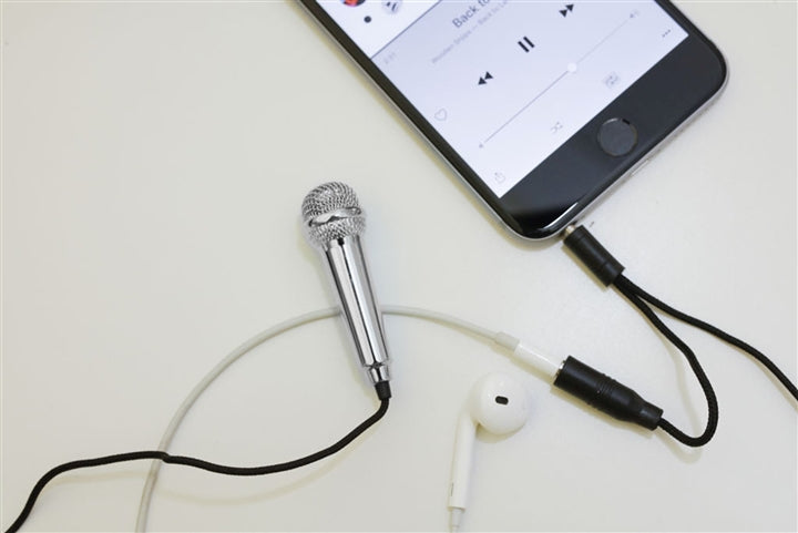 Karaoke Mini Microphone @ The Music Stand