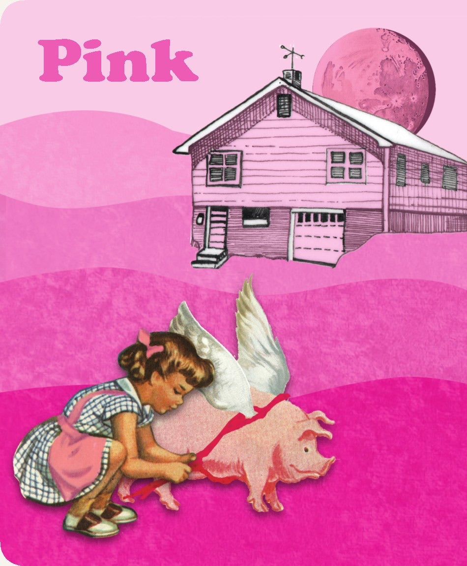 Any Color You Like: Intro. To Colors - Children's Board Book