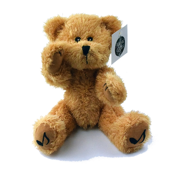 Teddy Bear with Foot Notes